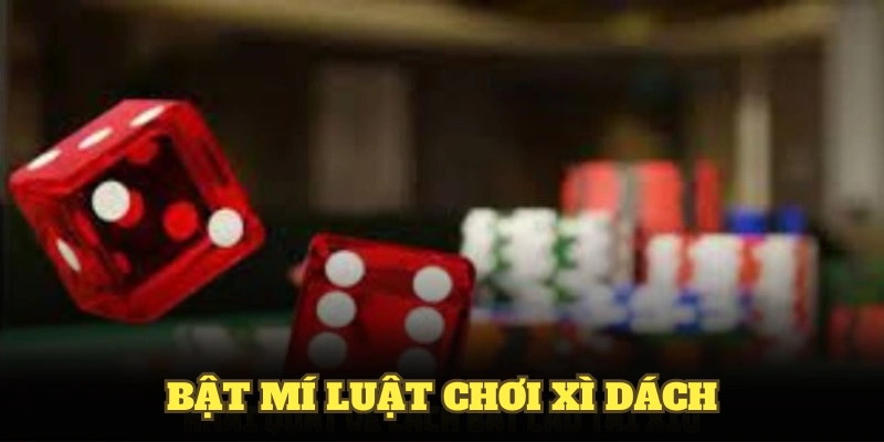 Bật mí luật chơi xì dách cùng các mẹo quan trọng